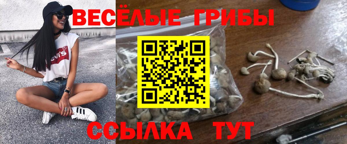 Псилоцибиновые грибы прущие грибы Кулебаки